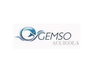 gemso-c